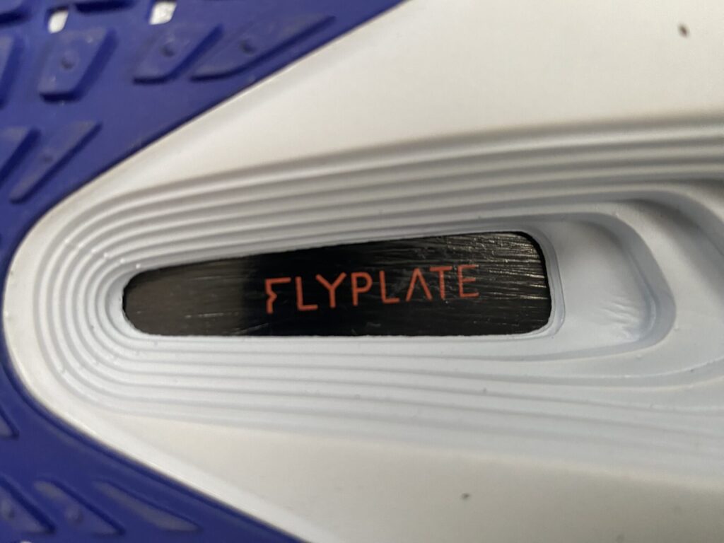 ズームフライ6Flyplate