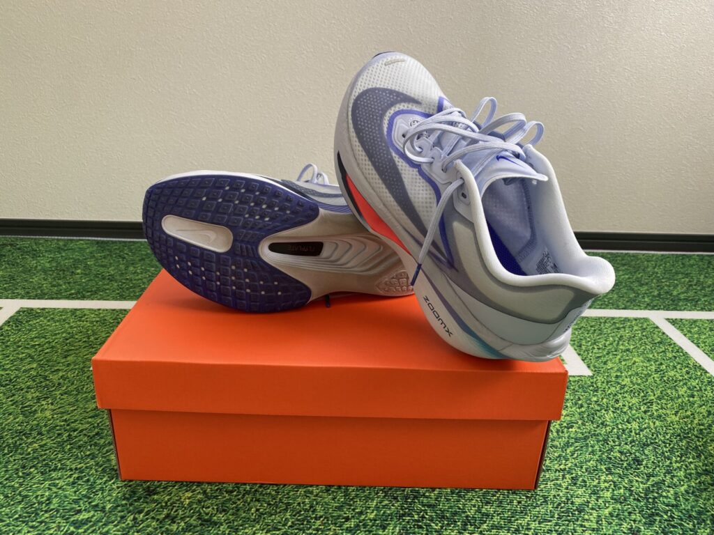 ズームフライ6展示