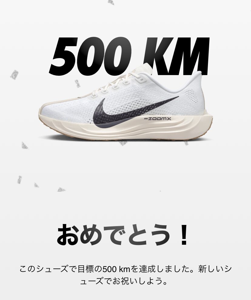 ナイキペガサスプラス 500km達成