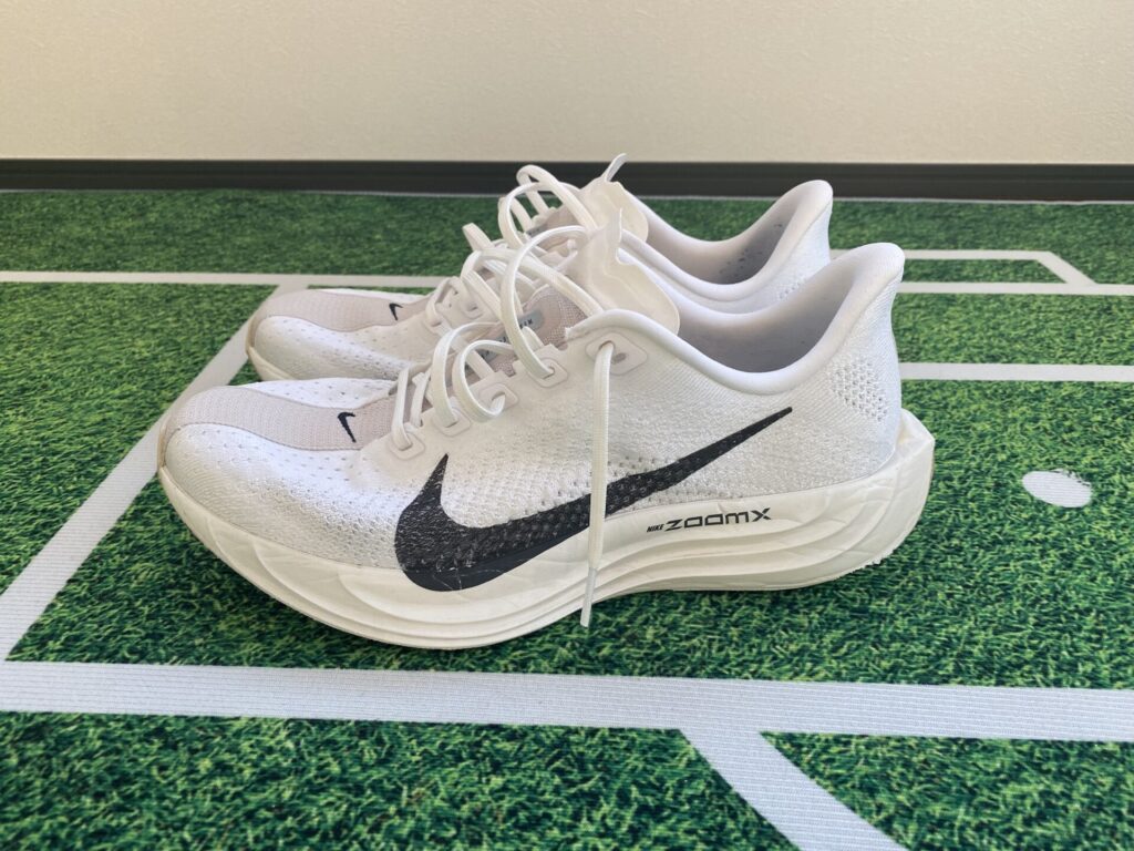 ナイキペガサスプラス全体