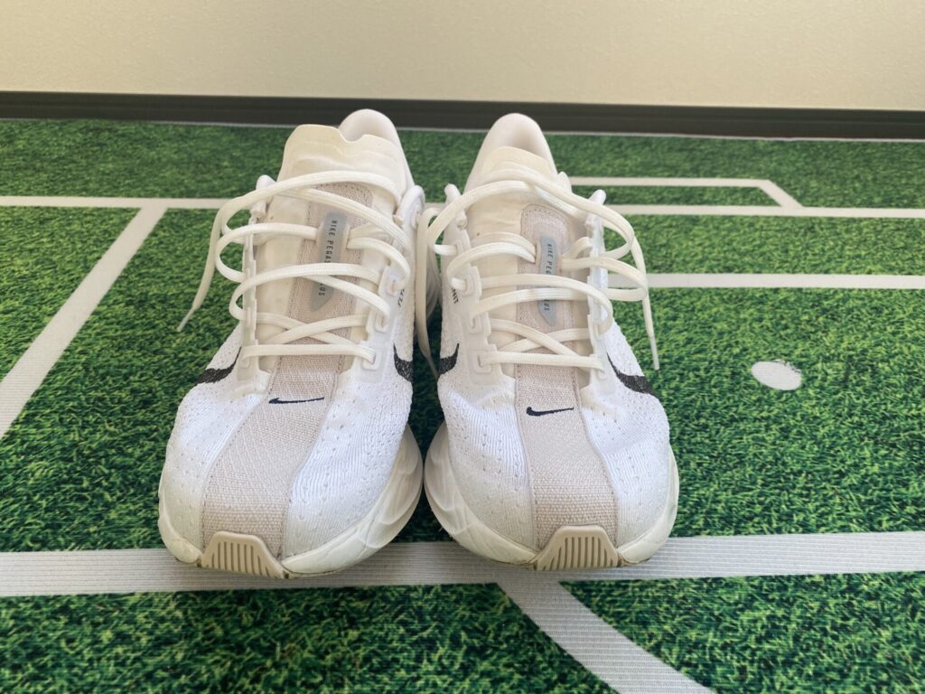 ナイキペガサスプラス正面