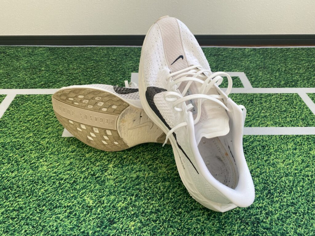 ナイキペガサスプラス全体③