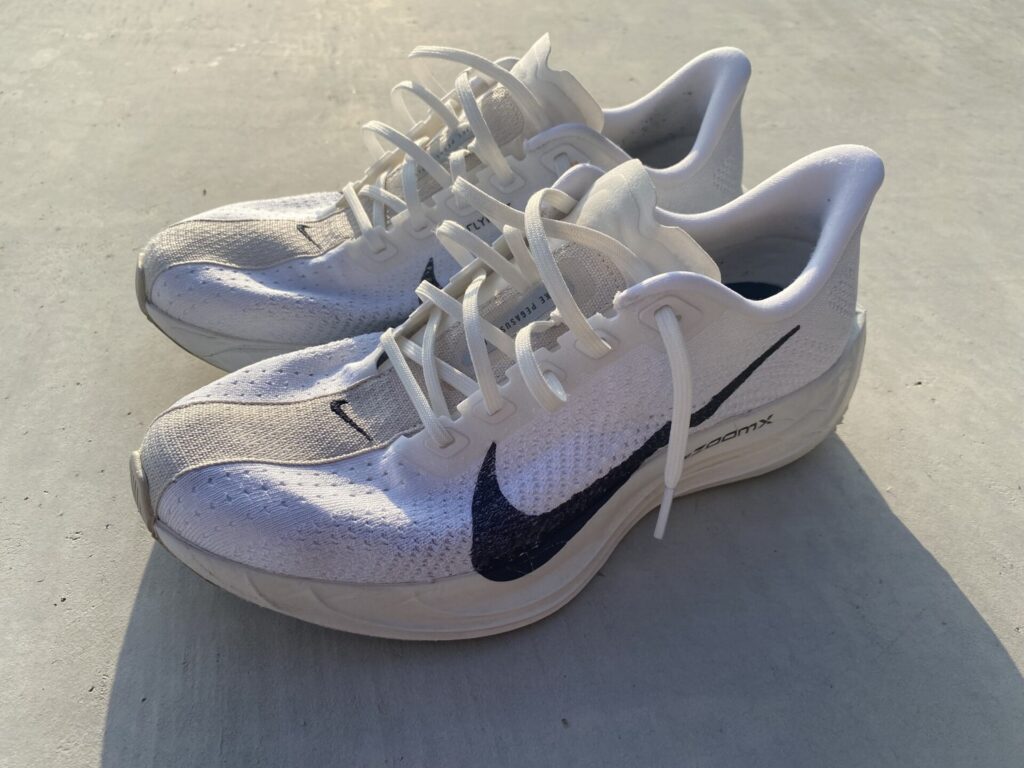 ナイキペガサスプラス全体②