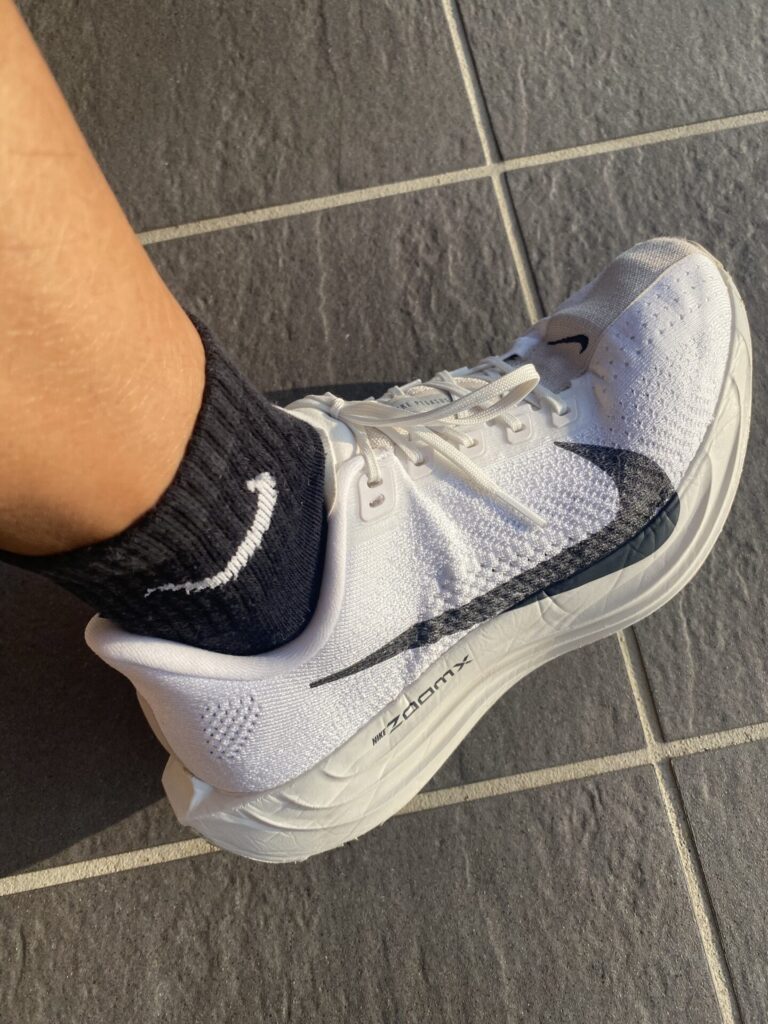 ナイキペガサスプラス履いている写真