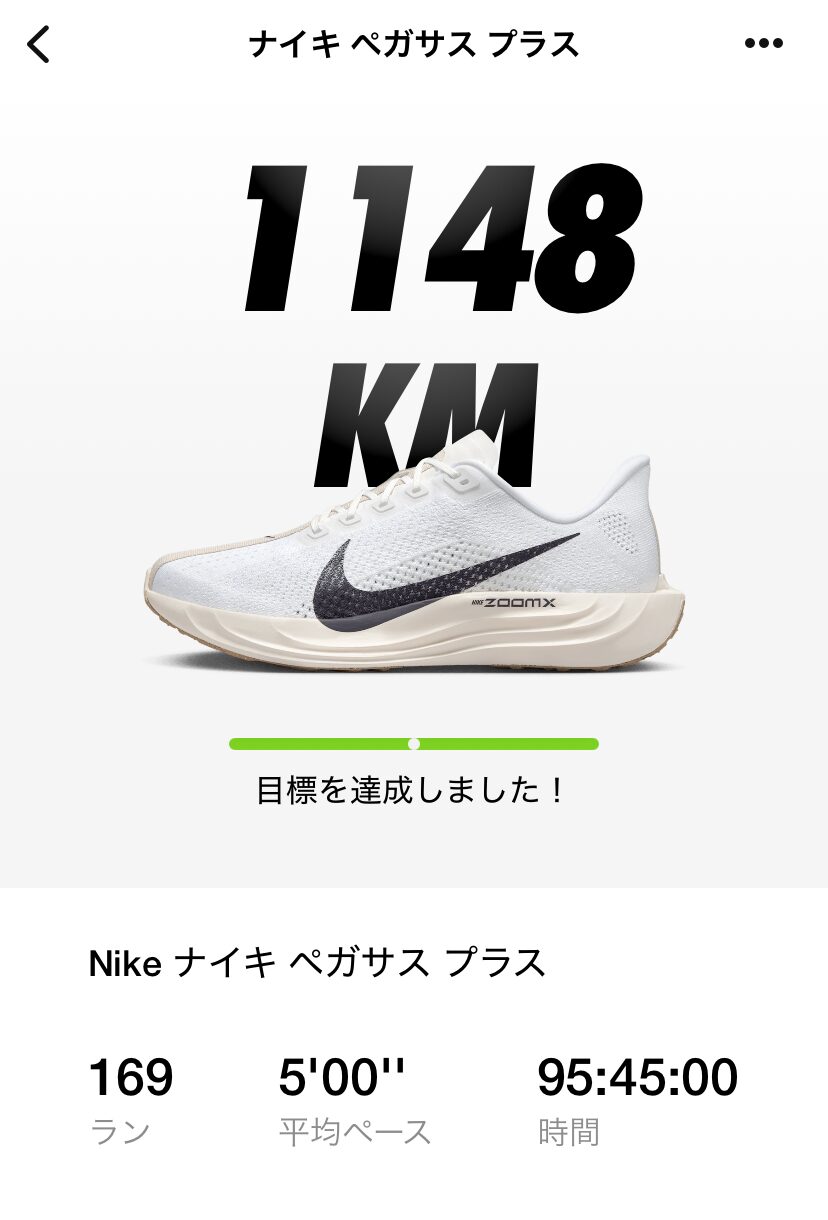 ナイキペガサスプラス 1000km達成